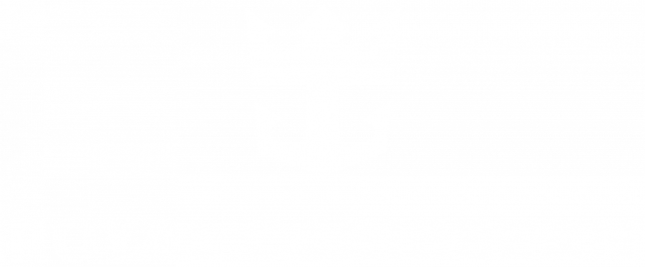 Royal Caribbean partner